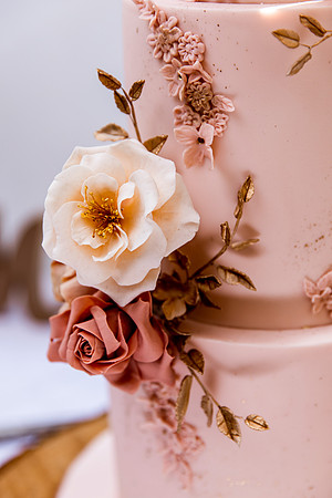 Talhenbont Hall Wedding Photography - Tammy & Lee-82