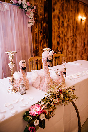 Bilston Brook Wedding Photography - Sophie & Todd-395