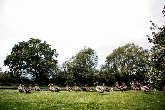 Jane & David - Gift Of A Wedding - Moat House Acton Trussell-7