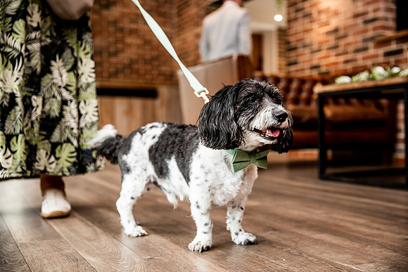 Foxtail Barns Wedding Photography - Zoe & Jack-223