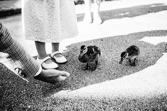 Jane & David - Gift Of A Wedding - Moat House Acton Trussell-220