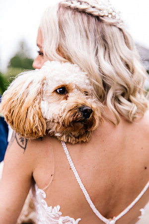 Sandhole Oak Barn Wedding Photography - Caitlin & Shane-667
