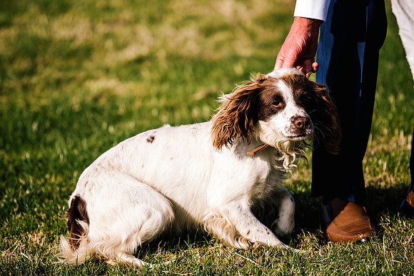 Staffordshire Moorlands Wedding Photography -  Lisa & Andy-788