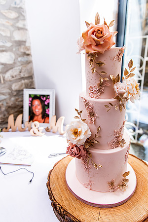 Talhenbont Hall Wedding Photography - Tammy & Lee-166