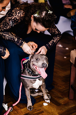 Jane & David - Gift Of A Wedding - Moat House Acton Trussell-145