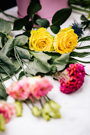 Staffordshire Brand Photographer - The Flower Room-63