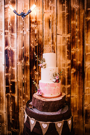 Bilston Brook Wedding Photography - Sophie & Todd-387