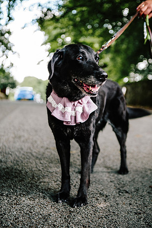 Staffordshire Wedding Photographer - Samantha Jayne Photography - Gem & Jack-260