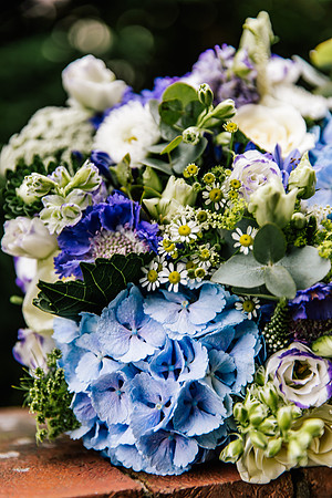 Park Hall Wedding Photography - Pip & Phil-35