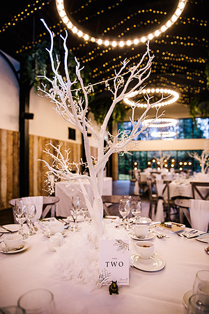 Foxtail Barns Wedding Photography - Jill & Chris-56