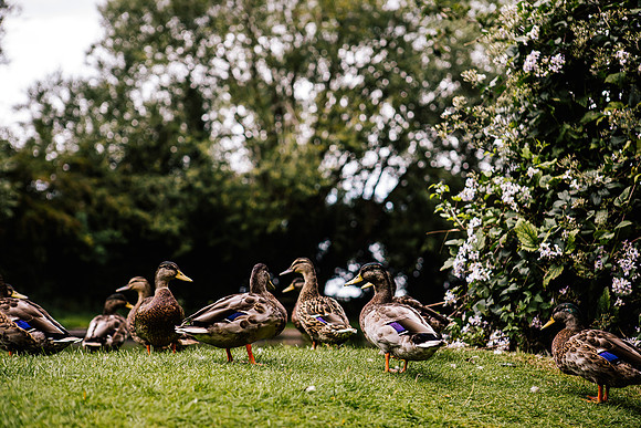Jane & David - Gift Of A Wedding - Moat House Acton Trussell-8