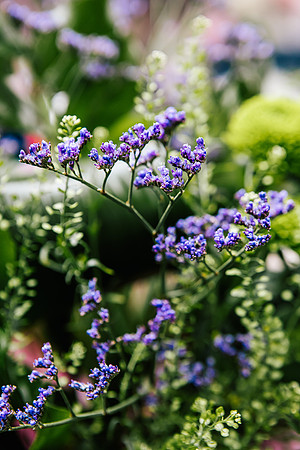 Staffordshire Brand Photographer - The Flower Room-218