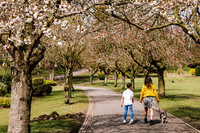 Family Photoshoot at Tunstall Park-1