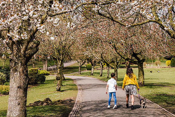Family Photoshoot at Tunstall Park-1