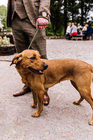 Alcumlow Wedding Barn Photography - Aimee & Mike-632