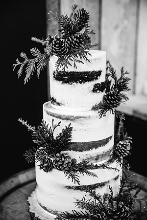 Foxtail Barns Wedding Photography - Jill & Chris-42