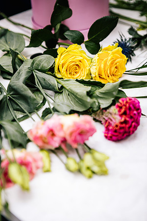 Staffordshire Brand Photographer - The Flower Room-64