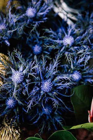 Staffordshire Brand Photographer - The Flower Room-17