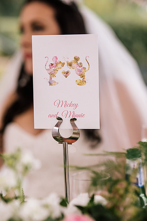 Upper House Barlaston Wedding Photography - Danielle & Alex-630