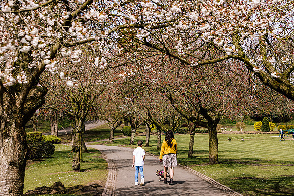 Family Photoshoot at Tunstall Park-2