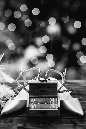 Foxtail Barns Wedding Photography - Jill & Chris-33