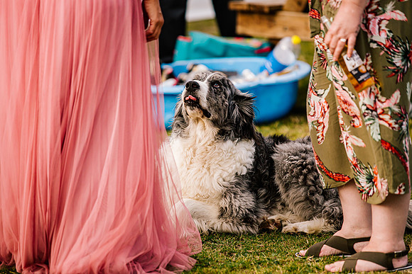 Staffordshire Wedding Photographer - Slaters Country Inn Wedding-403