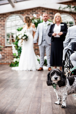 Foxtail Barns Wedding Photography - Zoe & Jack-402