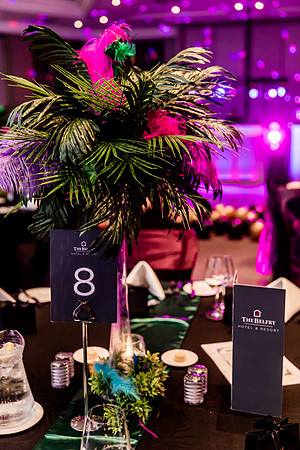 Earth Angels Charity Ball-3