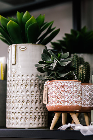 Staffordshire Brand Photographer - The Flower Room-375