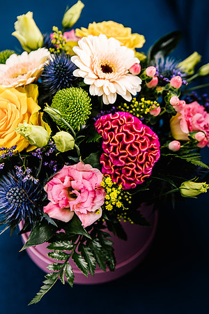 Staffordshire Brand Photographer - The Flower Room-274