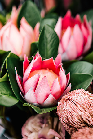 Staffordshire Brand Photographer - The Flower Room-308