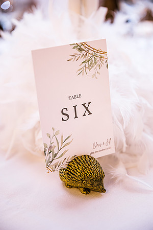 Foxtail Barns Wedding Photography - Jill & Chris-67