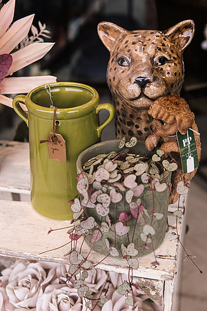 Staffordshire Brand Photographer - The Flower Room-371