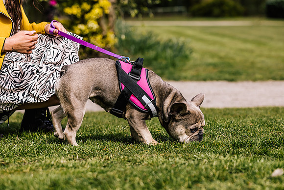 Family Photoshoot at Tunstall Park-217