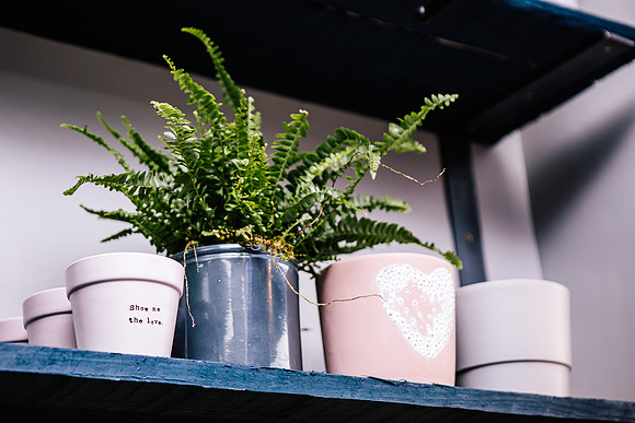 Staffordshire Brand Photographer - The Flower Room-129