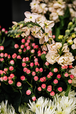 Staffordshire Brand Photographer - The Flower Room-84