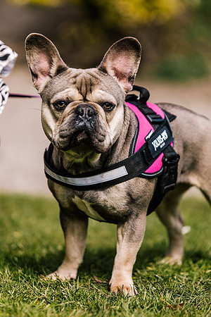 Family Photoshoot at Tunstall Park-210
