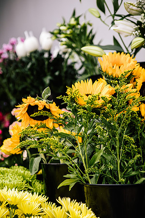 Staffordshire Brand Photographer - The Flower Room-309