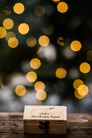 Foxtail Barns Wedding Photography - Jill & Chris-4