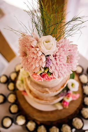 The Oak Tree Of Peover Wedding Photography - Cheshire Wedding Photographer-538